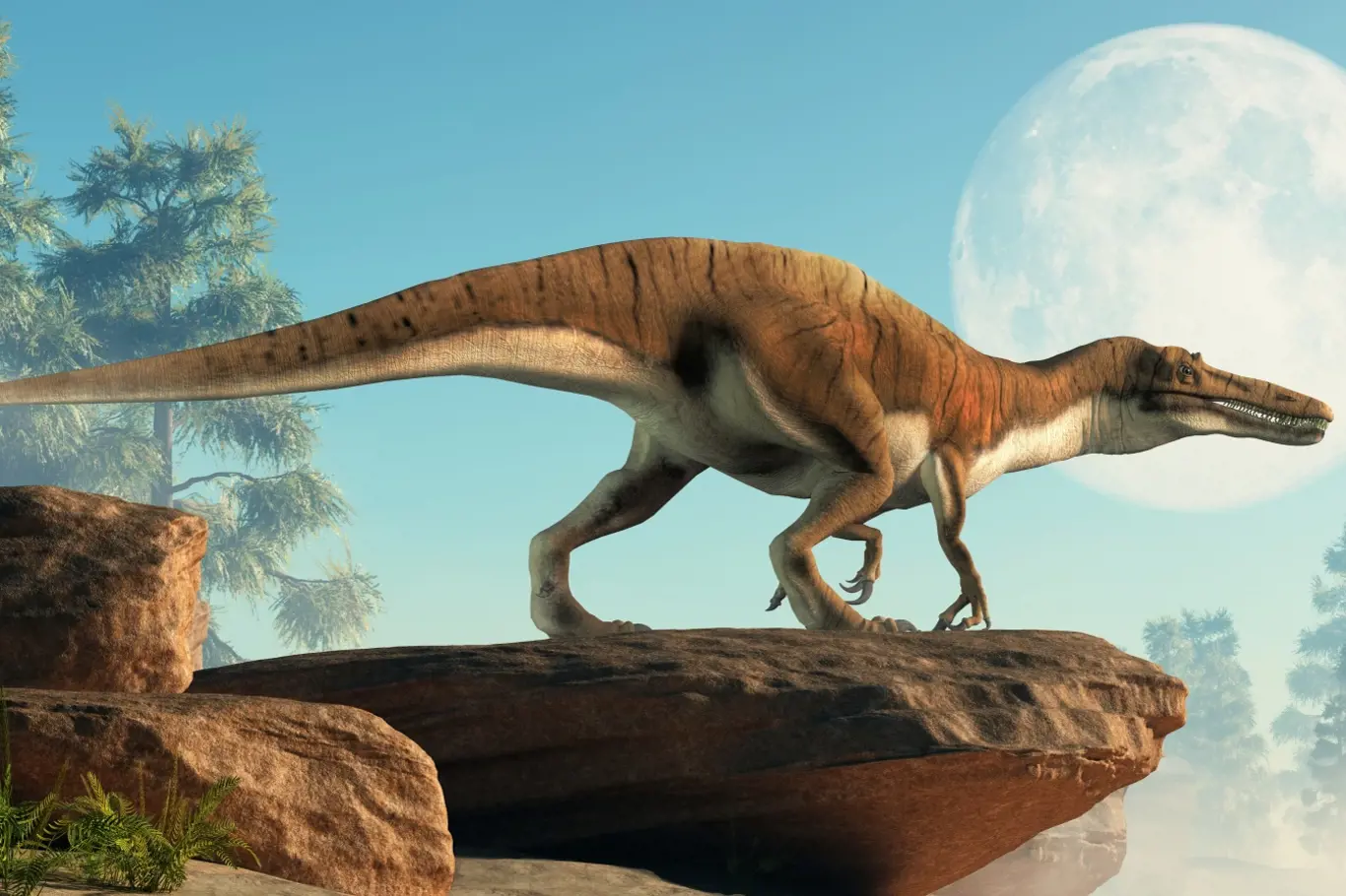 Některé druhy dinosaurů si dokázali podat menší předmět přední „tlapou“ do své tlamy, sevřít objekt „rukama“ nebo jej přitisknout a přidržovat u svého hrudníku.