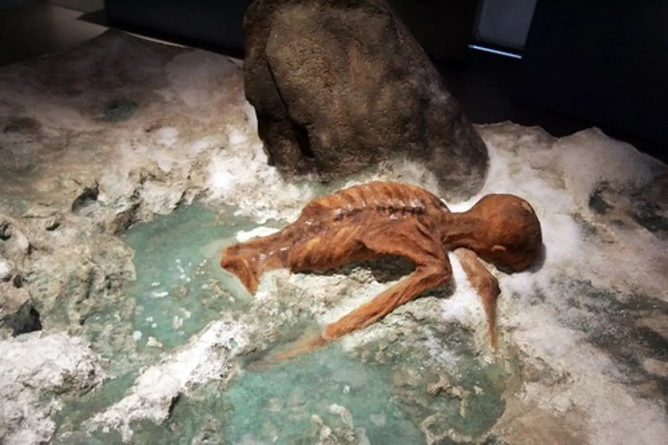 Ötzi měl na zachovaném těle celkem jednoduchých 61 tetování,