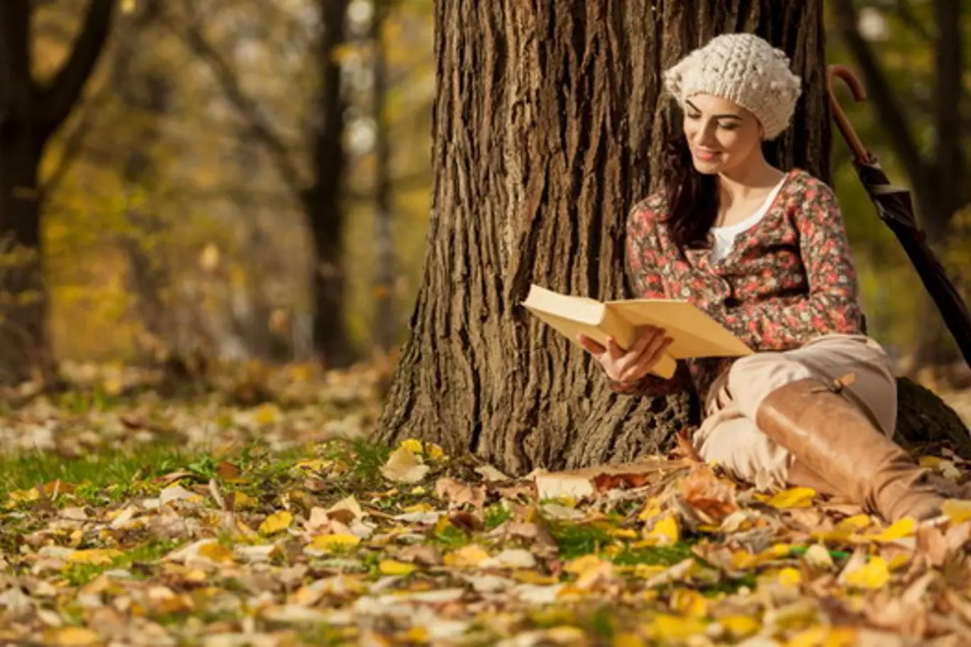 Podzim s knížkou: Ty nejlepší novinky, které stojí za přečtení