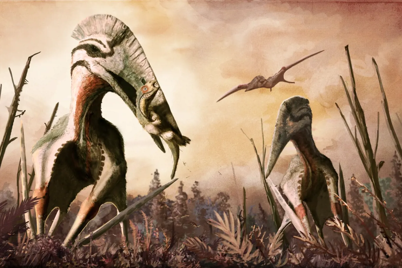 Možná podoba pterosaura