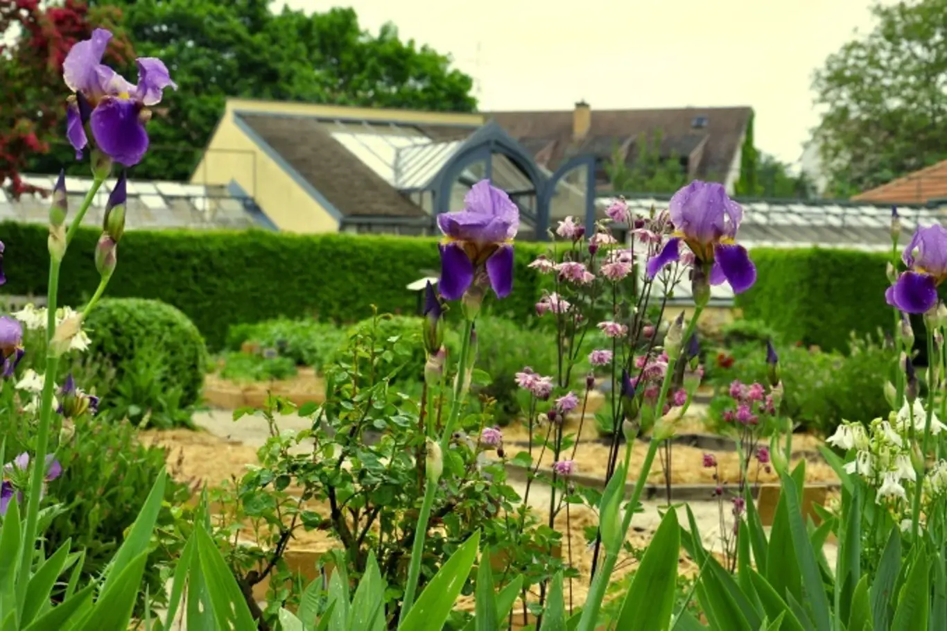 Bylinková zahrada Lu & Tiree Chmelar se nachází ve Valticích, v místech bývalého zámeckého zahradnictví.