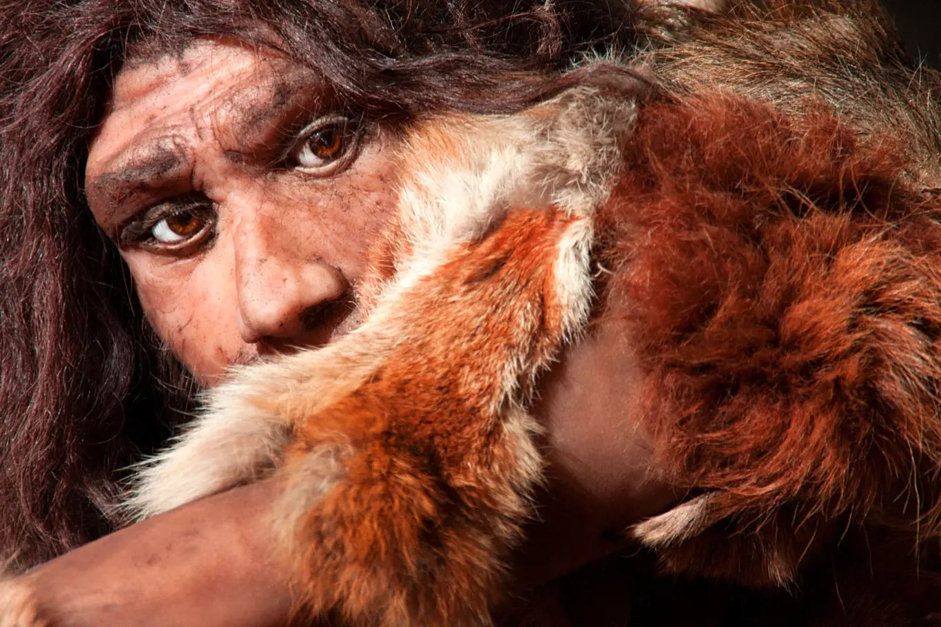 Neandertálský člověk. Ilustrační foto.