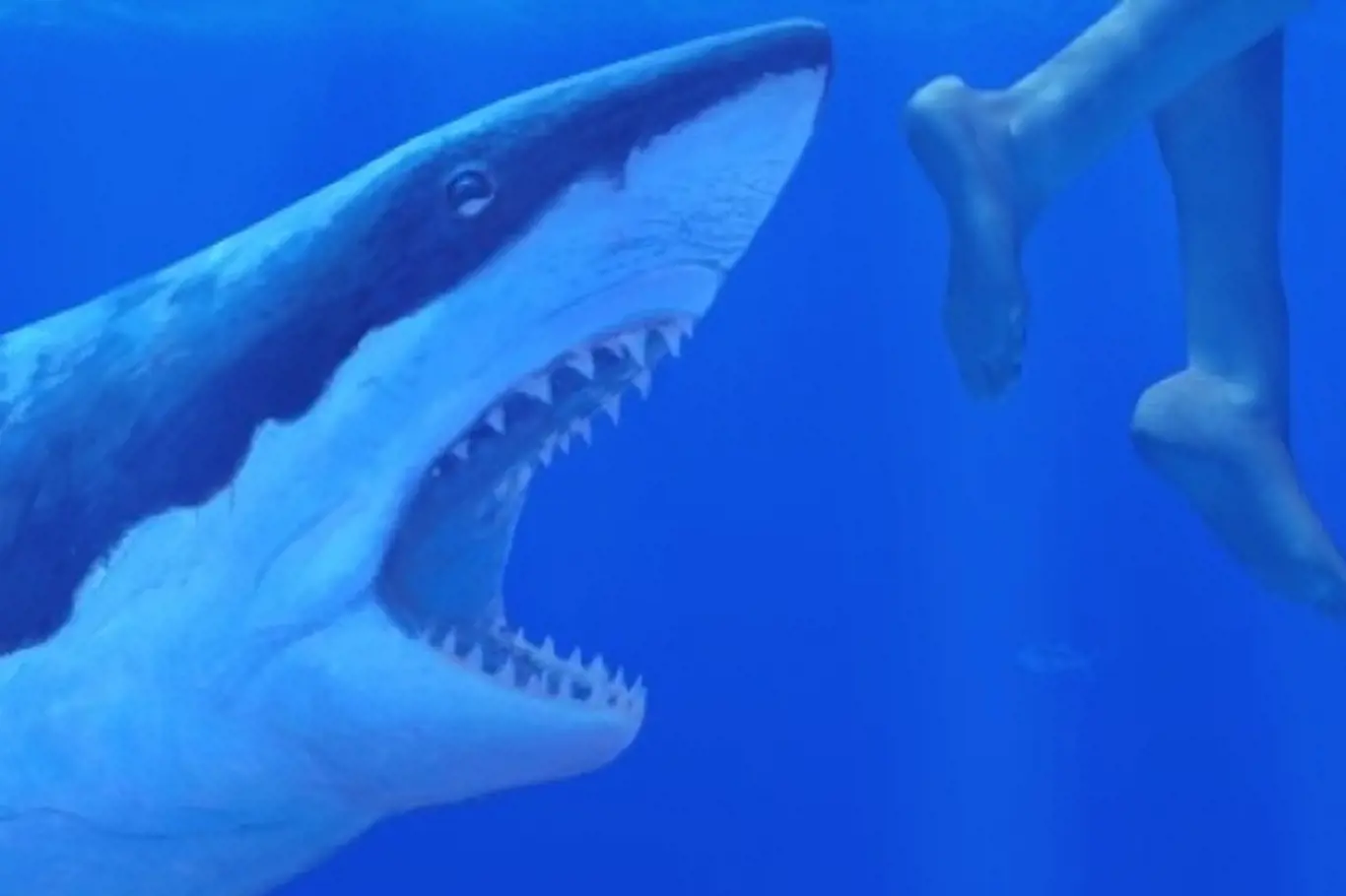 Nejhorší lidožrouti v dějinách: Čelisti. Žralok, který způsobil paniku po celém kontinentu