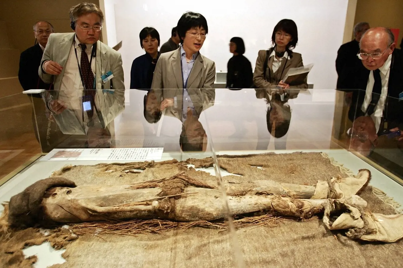 Mumie krásky z Loulanu coby muzejní expozice.