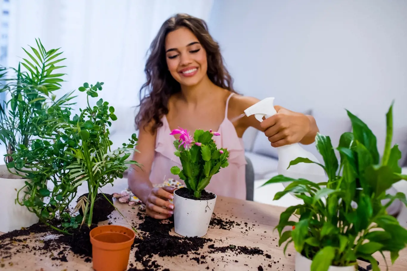 Víte, s čím vším vašim pokojovým rostlinám pomůže ocet?