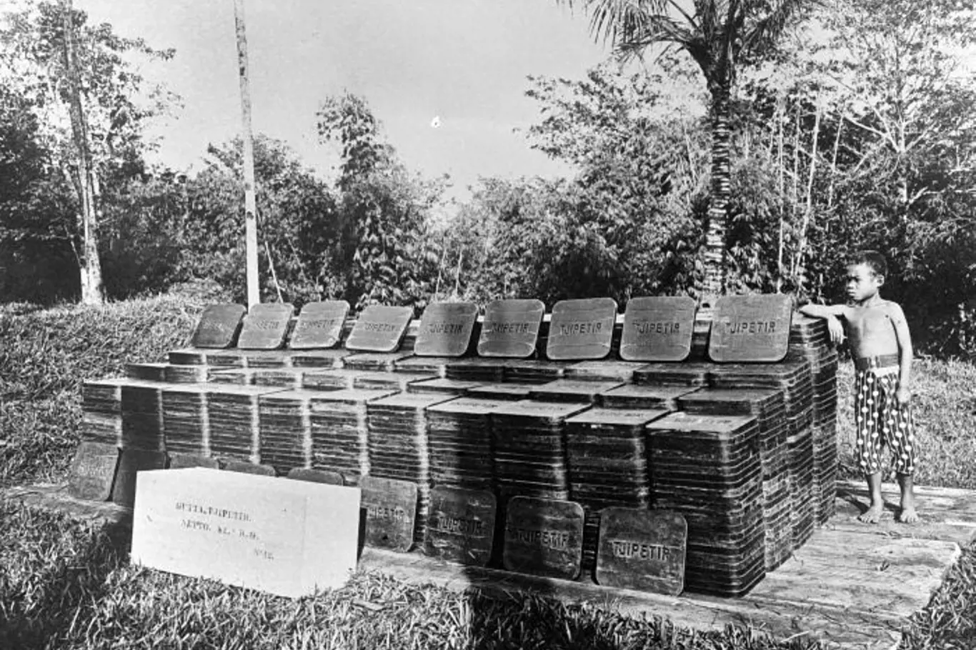 Bloky pryžového výrobku s viditelnou značkou TJIPETIR. Zdroj: TIPIRIPETER, s. r. o: Tropenmuseum