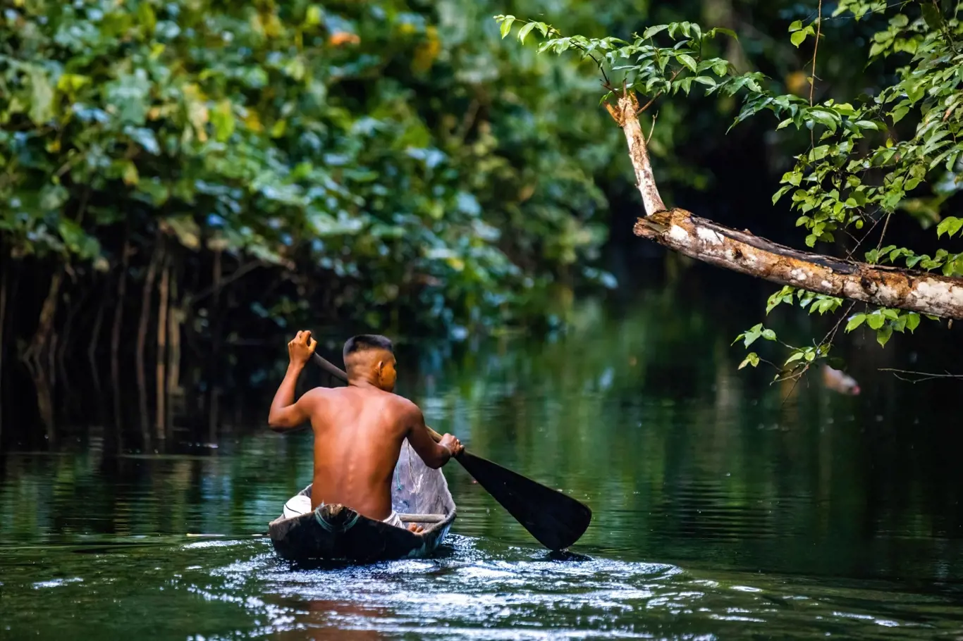 Neprostupné deštné lesy Amazonie