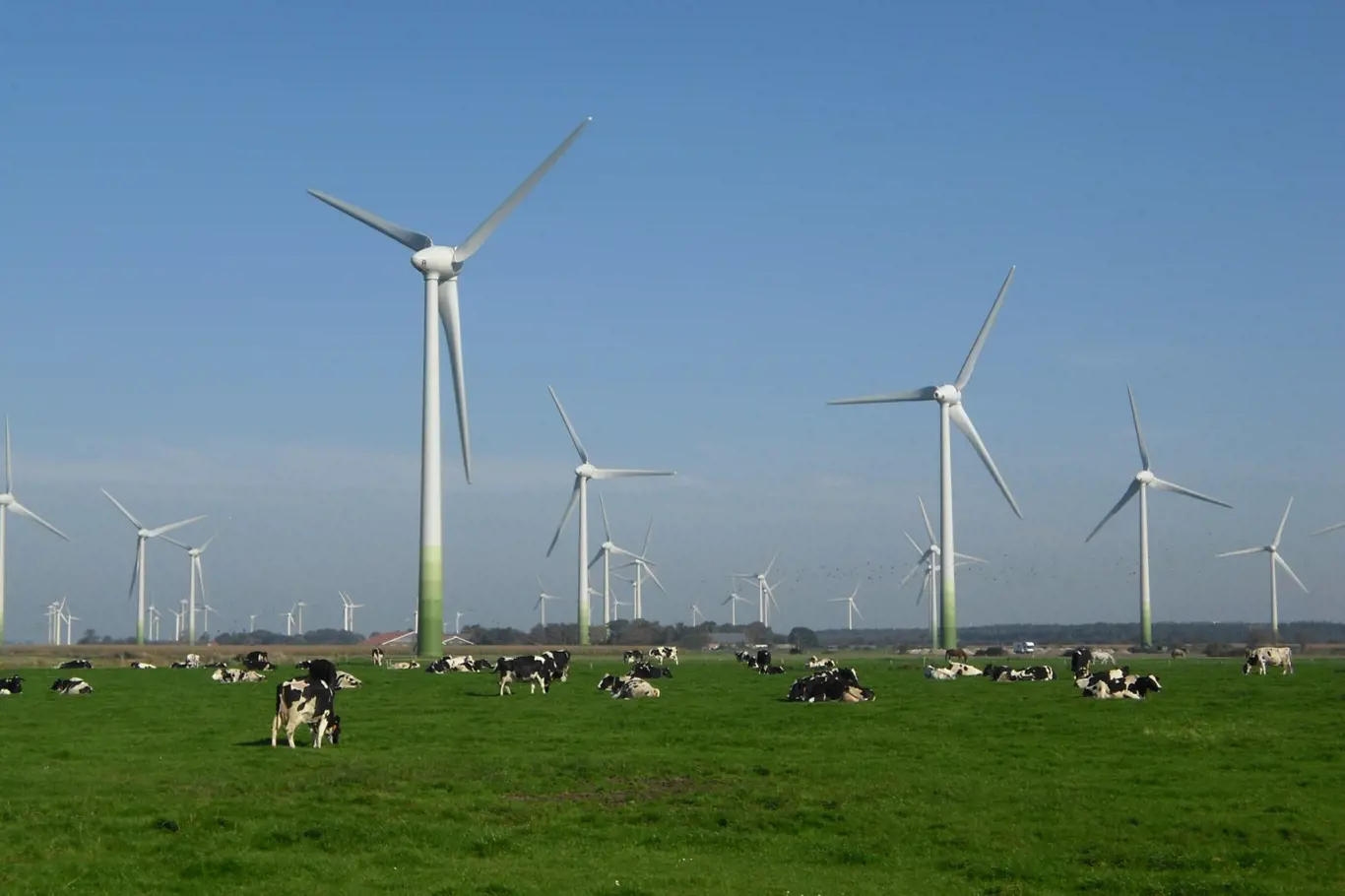 Jeden z mnoha větrných parků, jež vyrostly na území Německa. Kolik z nich koupí ČEZ?