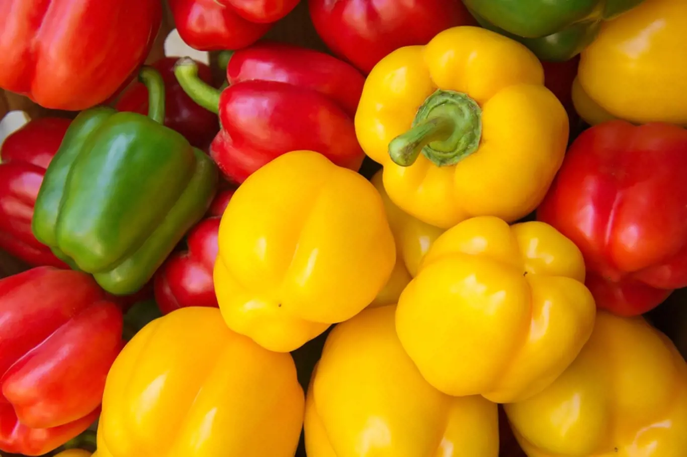 Cena paprik překročila 100 Kč za kilogram.