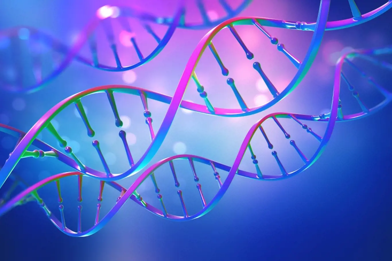 Co vědci zjistili z DNA?