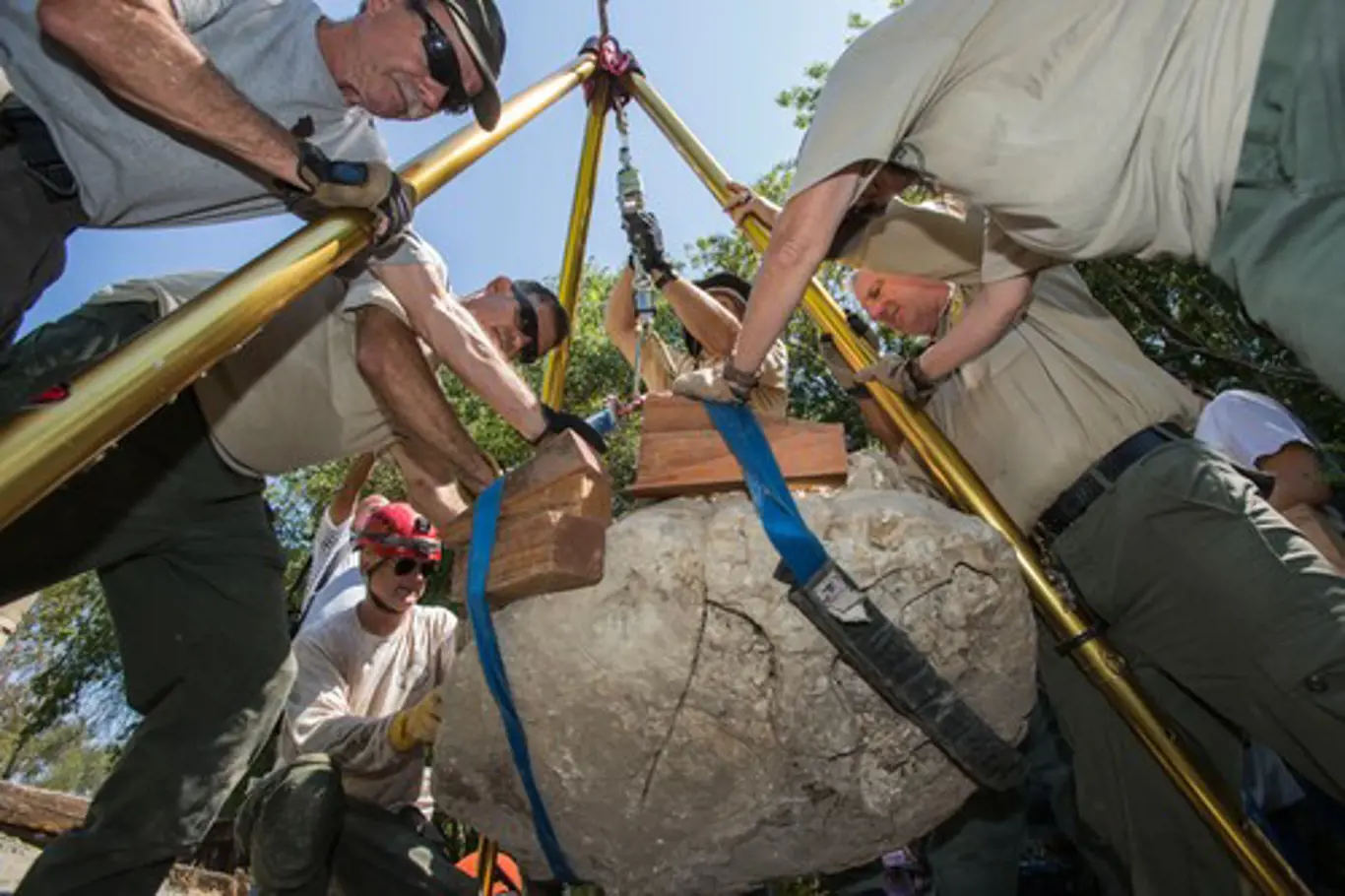 Záchranný tým pomocí lan a kladek vytahuje fosilii z rokle
