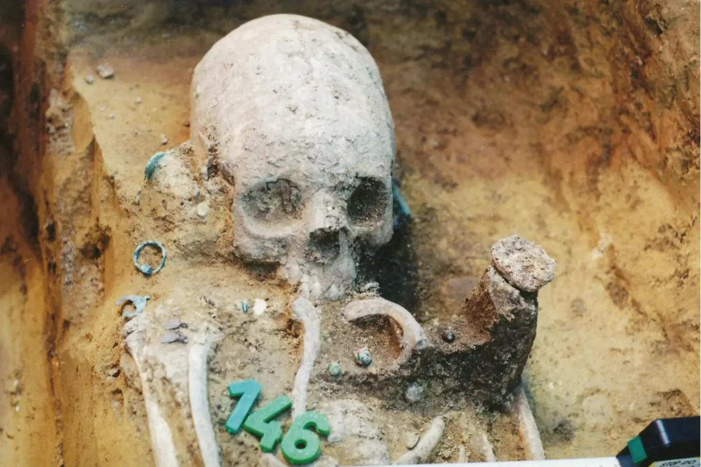 Horní část těla hrobu 43 během výkopu. Dívka měla uměle deformovanou lebku, byla uložena v hrobě s boční nikou a bohatě vybavena.