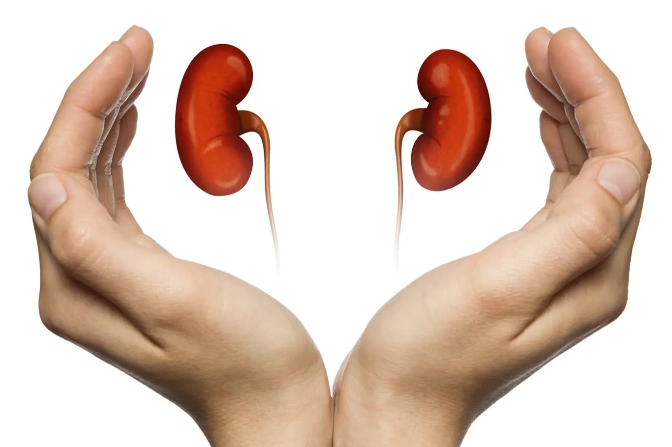 Audiočlánek: Posilování ledvin