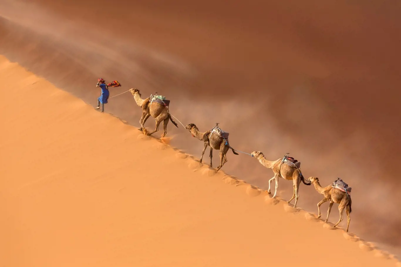 Dnes je Sahara třetí největší pouští světa. Změní se to?