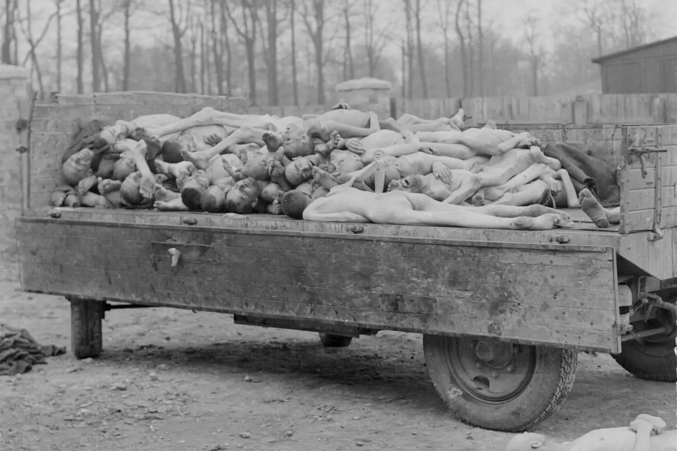 Mrtvoly - koncentrační tábor Buchenwald. Ilustrační foto.