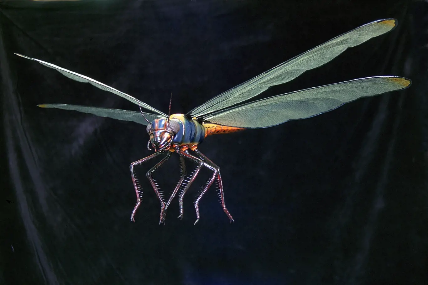 Meganeuropsis - rekonstrukce pravěké vážky