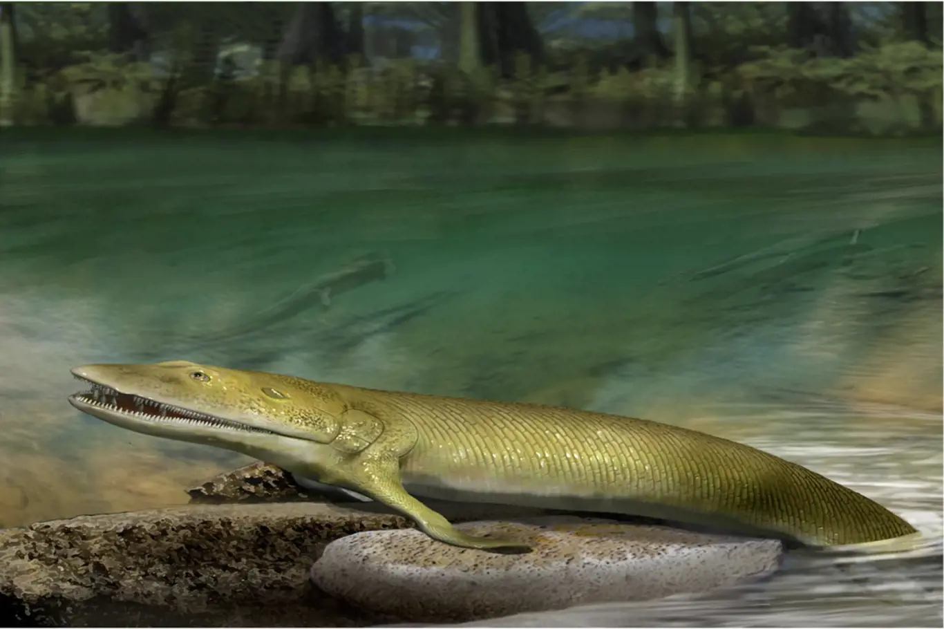 Umělecká rekonstrukce fosilie ryby Elpistostege nalezené v Miguasha v Kanadě.