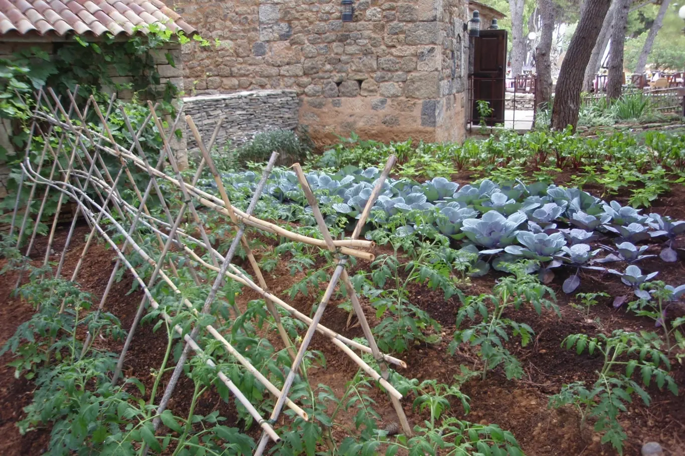 Vzorná zeleninová zahrada v Dalmácii