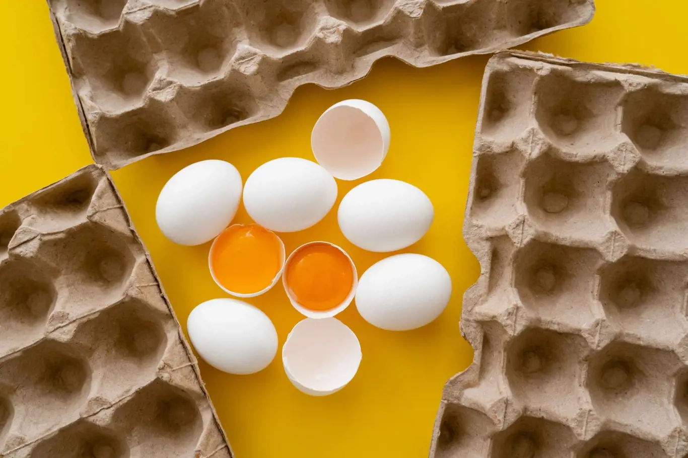 K čemu se dají použít kartony od vajec?