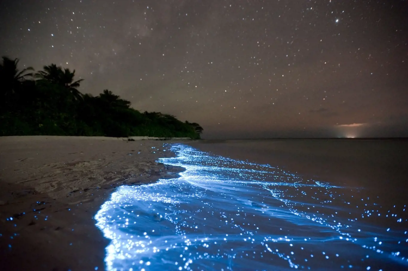 Svítící pobřeží, Maledivy