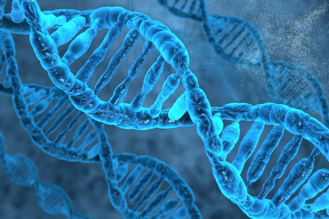 DNA se přizpůsobí životnímu prostředí velmi rychle.