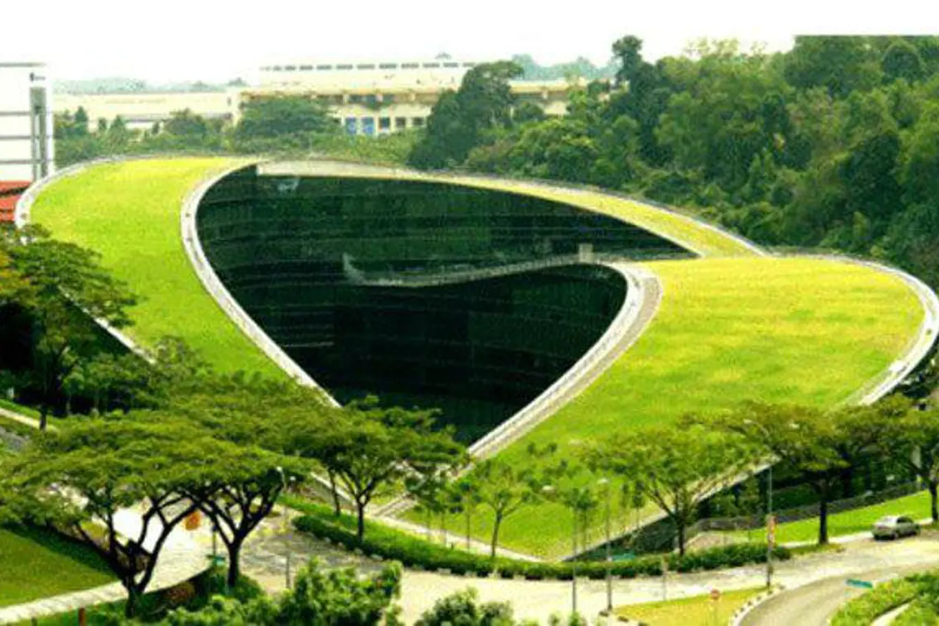 Univerzita v Singapuru