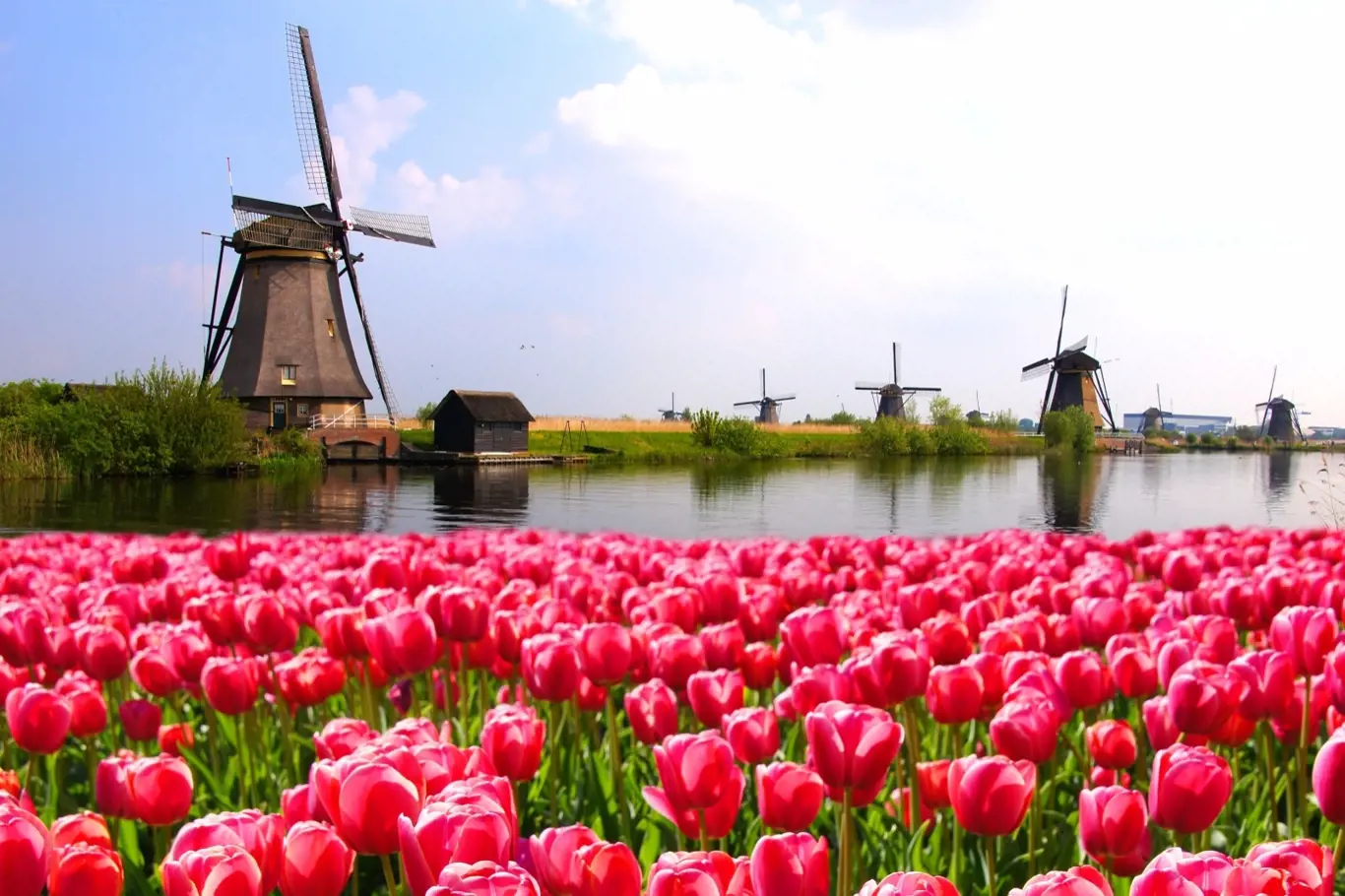 Holandská krajina