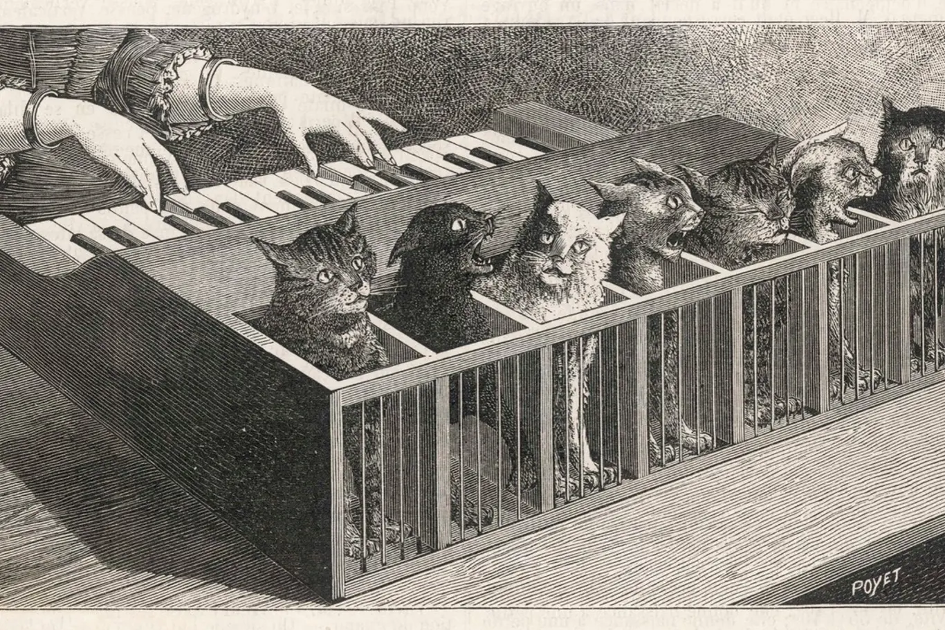  V padesátých letech 16. století sloužilo „kočičí piano“ jako legendární muzikoterapie.