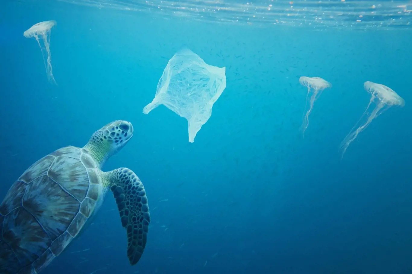Znečistění planety plasty