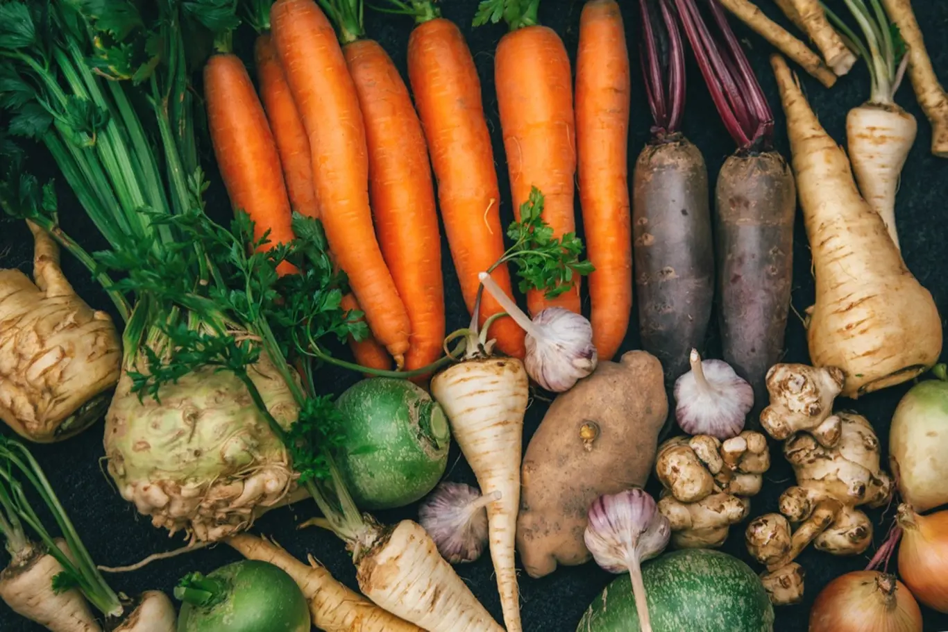 Jak uchovat zeleninu po celý rok?