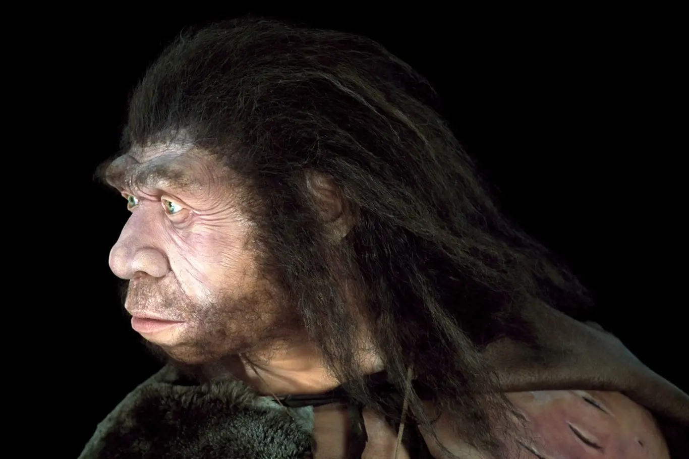Model neandertálského muže