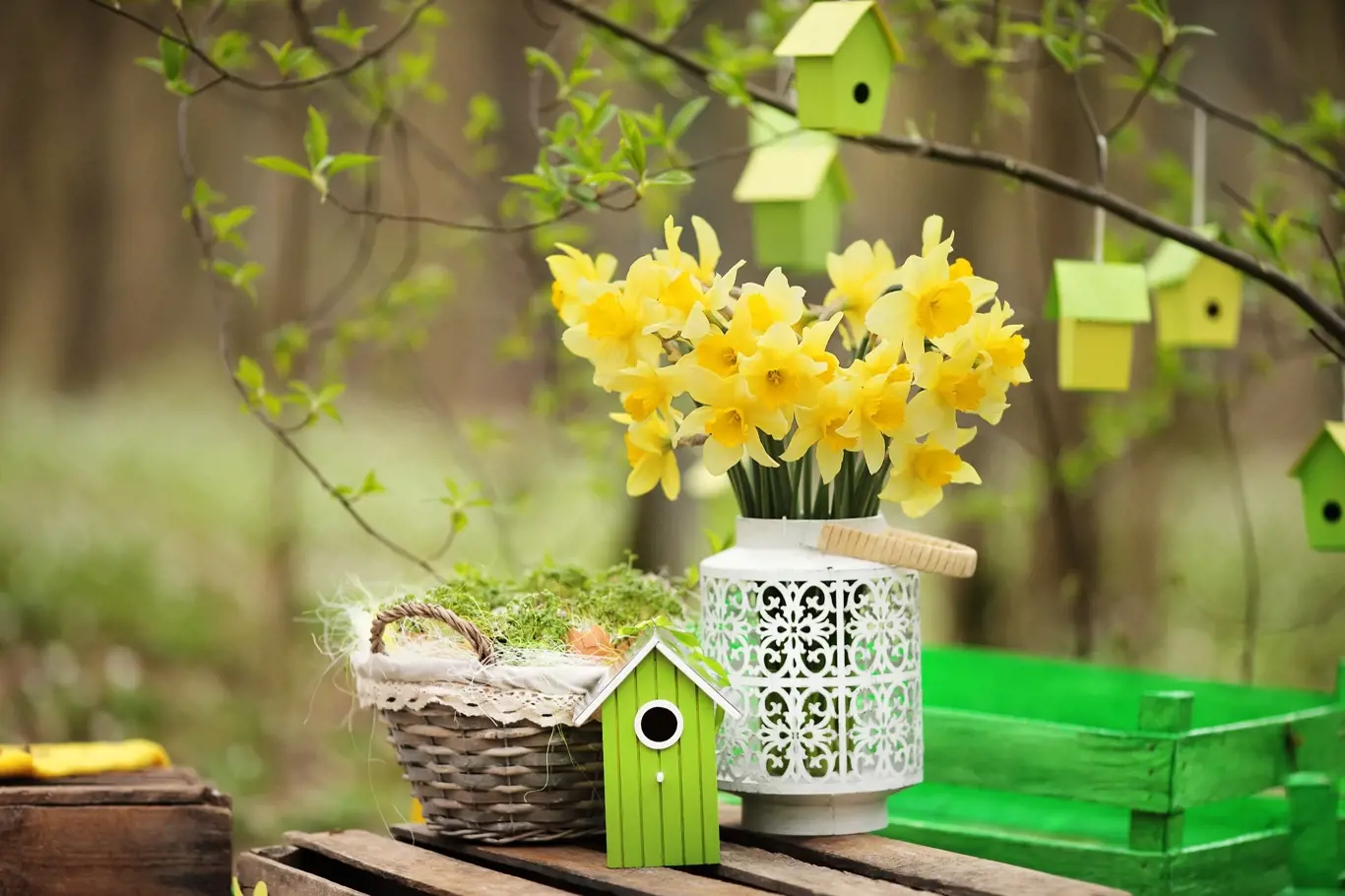 Easter decoration with spring flowers, narcissus blooms. Spring flowers in pots in the garden. Easter Sunday. Happy Easter