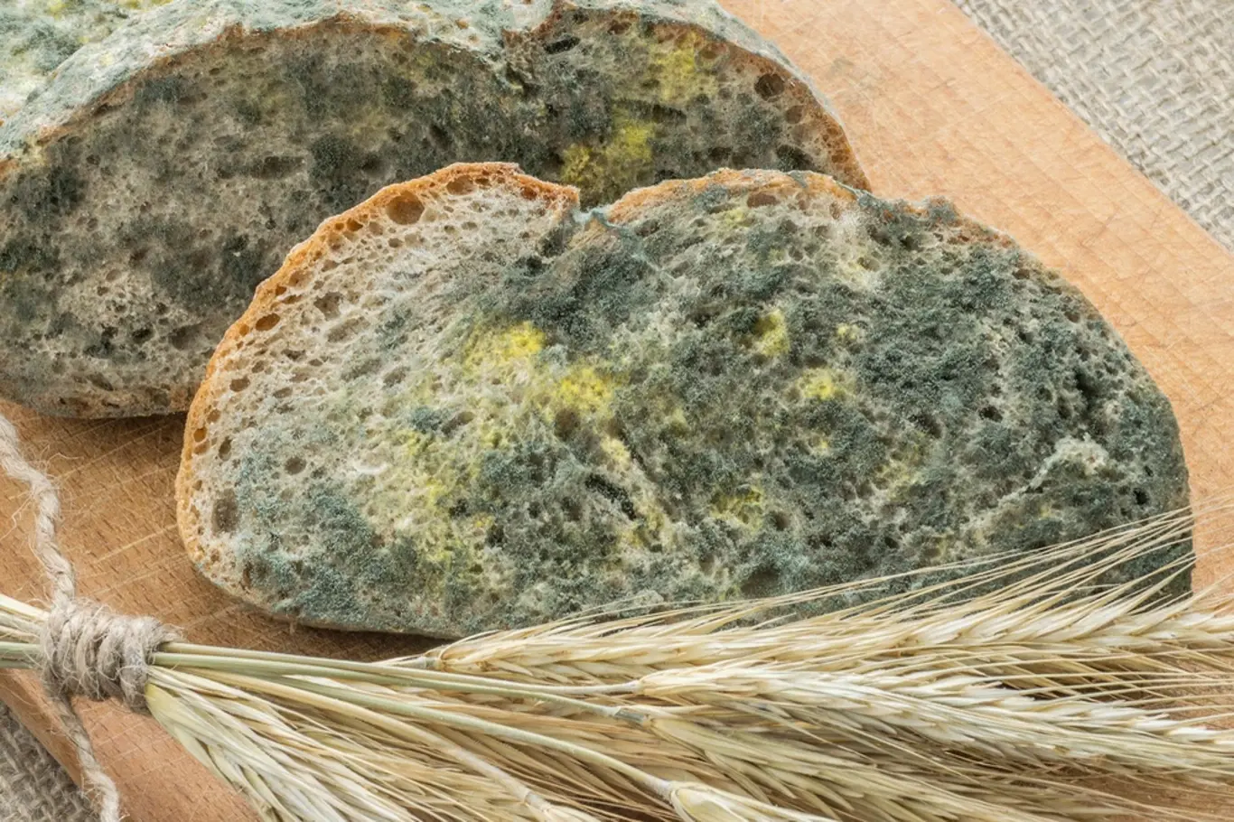 Špatné skladování chleba zvyšuje riziko plesnivění.
