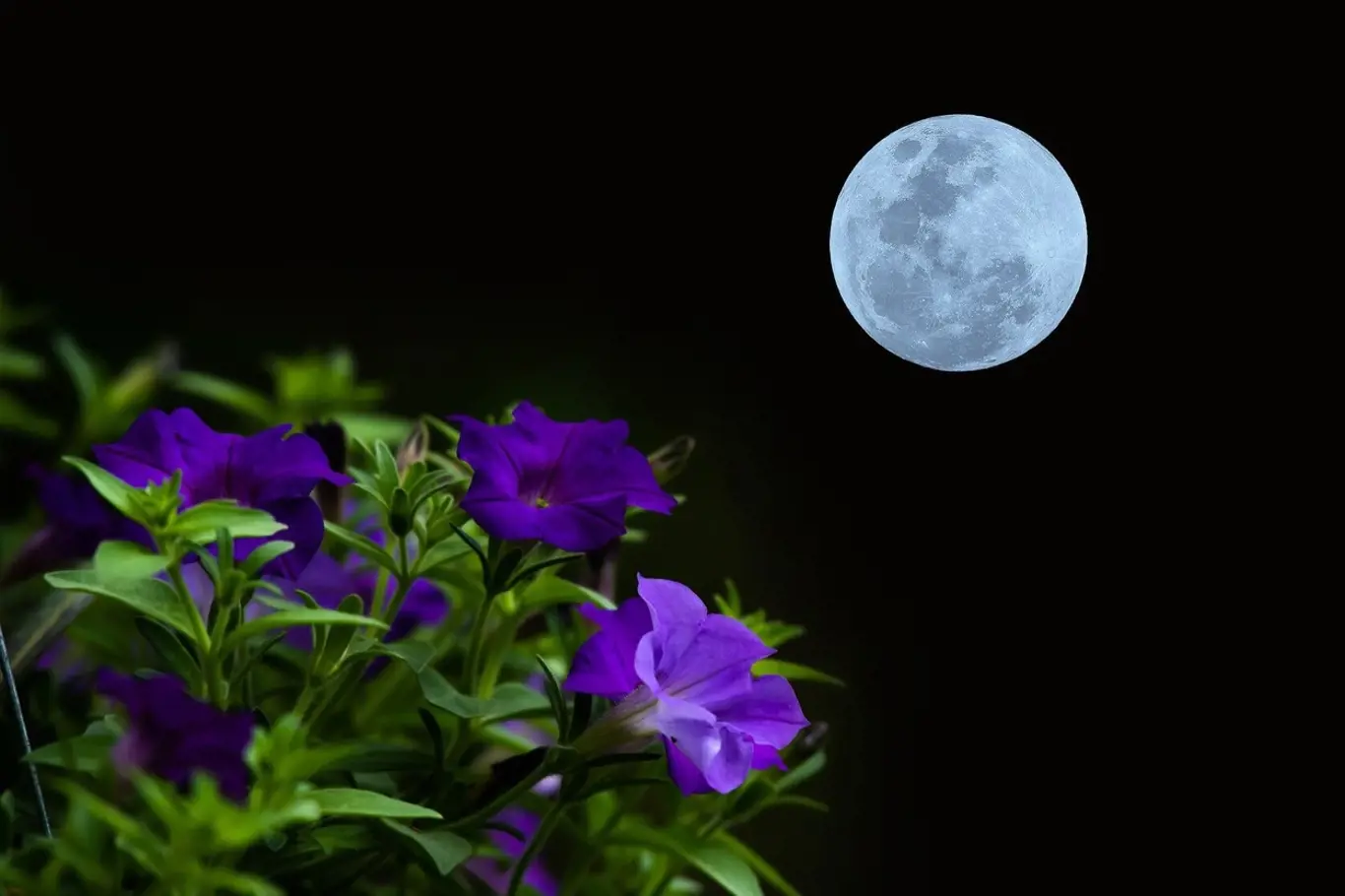 měsíc, nebe, luna, noc