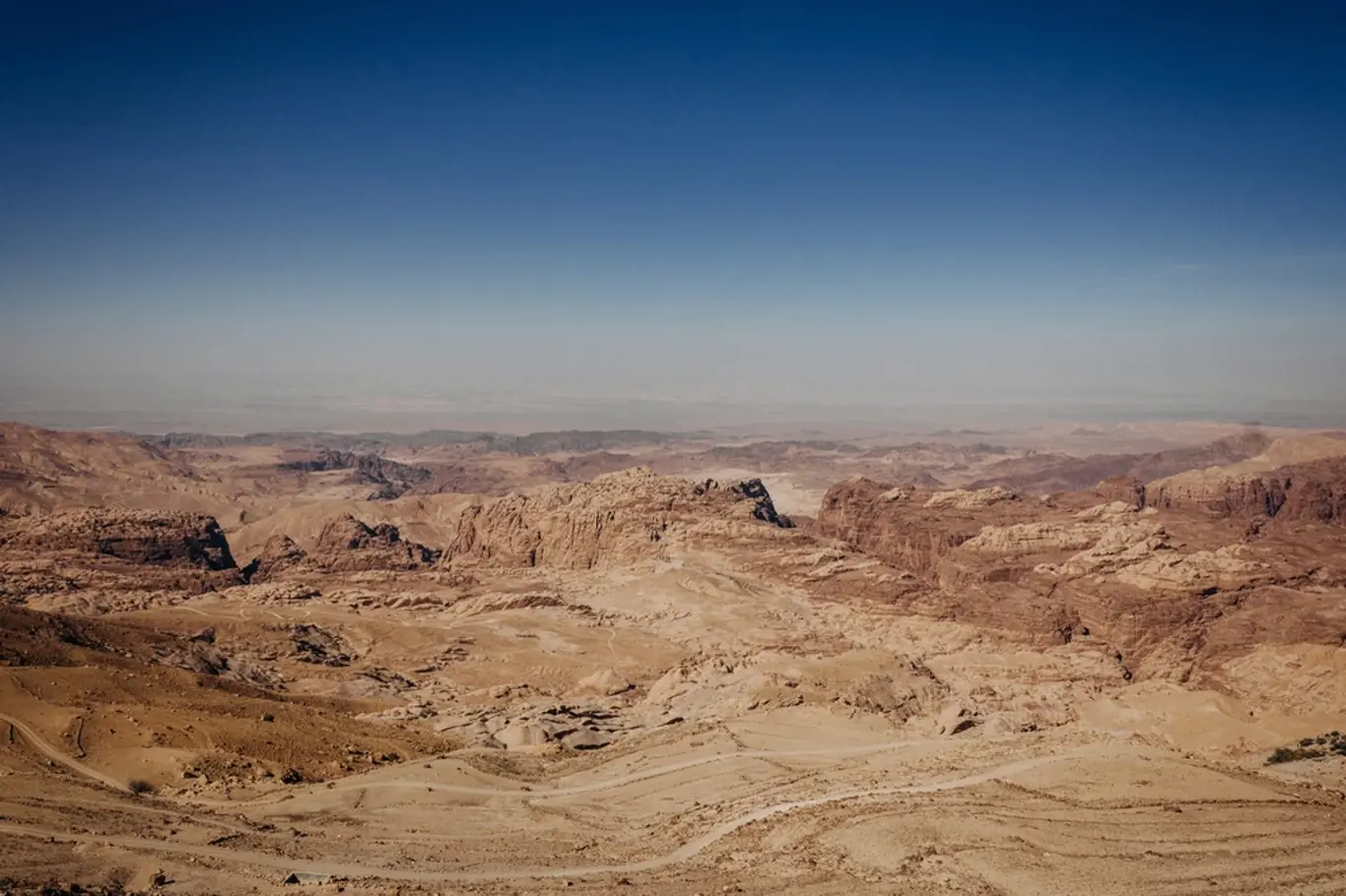 Toto jsou arabští pouštní draci. Vědci nyní vyluštili jejich záhadu. Sloužili jako obří pasti.