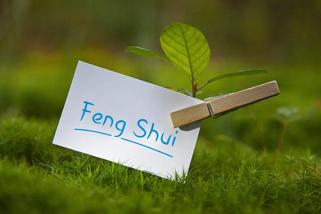 Učení Feng-šuej klade důraz na čerstvost vzduchu v prostorách, kde se zdržujeme.