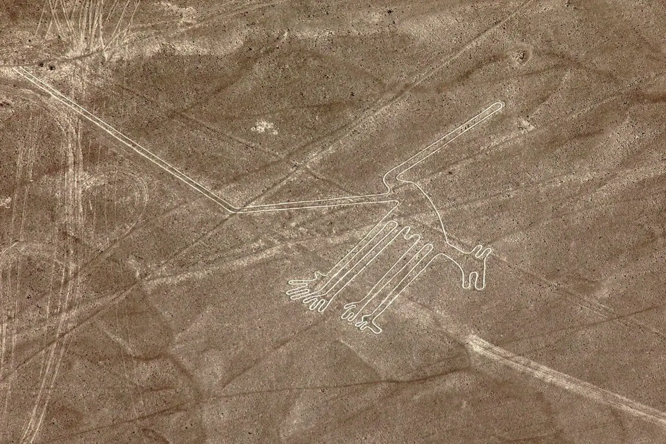 Nové geoglyfy Nazca