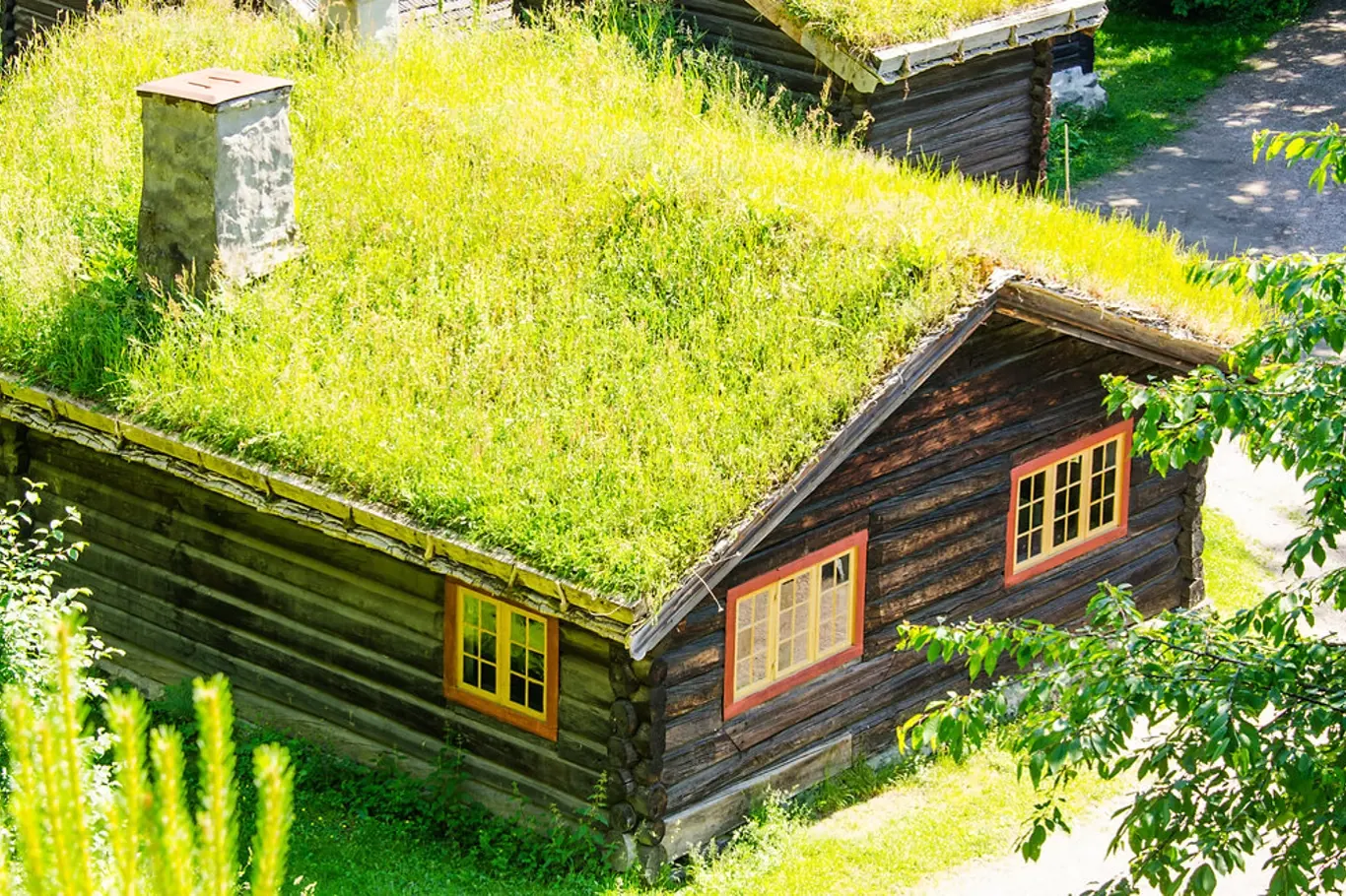 Typický venkovský domek v Norsku se zatravněnou střechou. 
