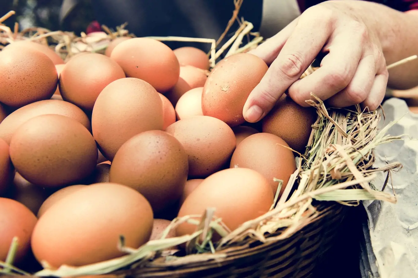 Všechny potraviny jsou nejlepší a nejkvalitnější čerstvé, proto i vejce zkonzumujte co nejdříve.