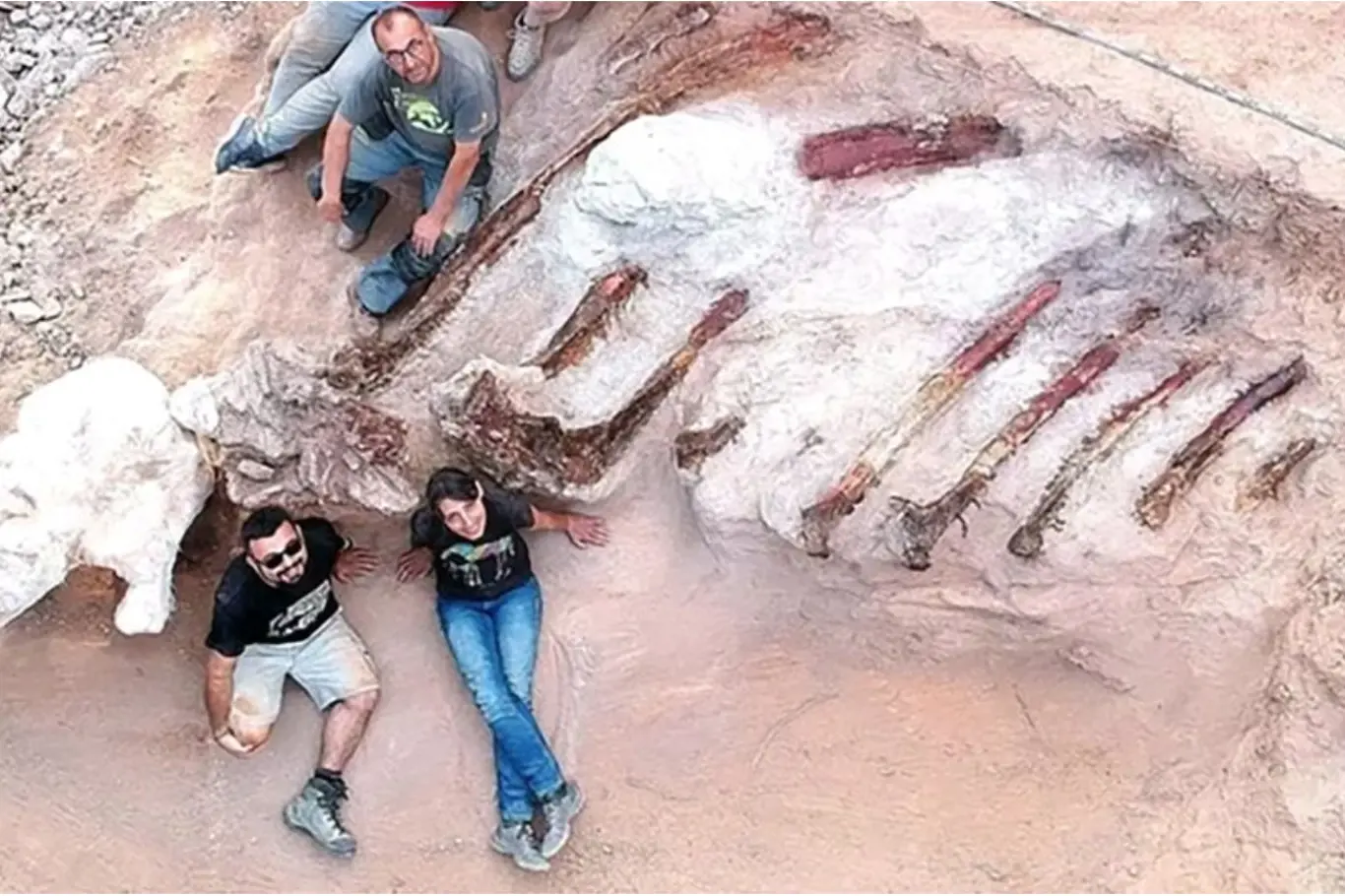 Portugalský majitel domku v Monte Agudo v Pombalu narazil na svém dvorku na možná největší dinosauří pozůstatky v Evropě.