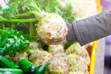 Celer: Elixír zdraví v receptech, ale i u babek kořenářek
