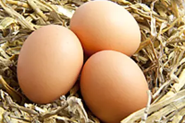 Jak zamrazit vejce a další dlouhodobé způsoby uchování vajec dle našich babiček