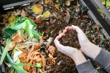 5 zásadních chyb, které naprosto zničí kompost: Neděláte je?