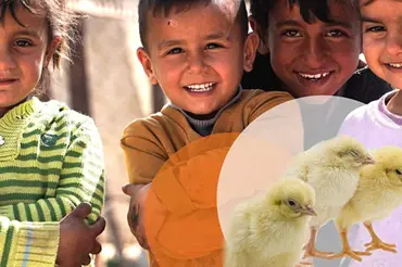 Pošlete velikonoční kuře ohroženým lidem v Sýrii