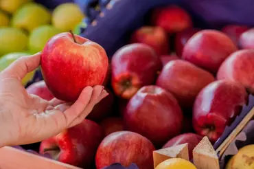 Vše o jablkách: Odhadnete, kolik existuje odrůd a jak se k nám dostala?