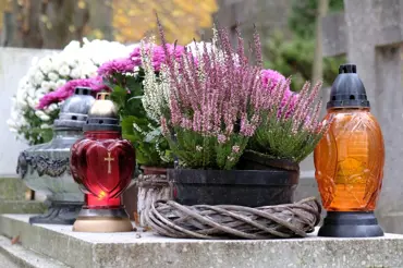 Naše babičky věděly, jaké květiny dát na hrob: Tyhle jsou nádherné celý rok