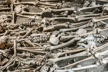 Byl objeven masový hrob povražděných křižáků. Příběh, který vypráví, vědce děsí