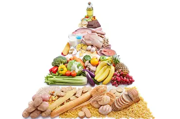 Tuky a potravinová pyramida