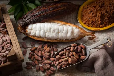 Zázračné kakaové boby: Do hrníčku, ale i jako součást rituálu a kosmetiky
