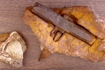 Zkamenělé kladivo vzbudilo ve světě senzaci. Má být staré 400 milionů let
